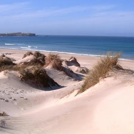 Dream On - * Пениши